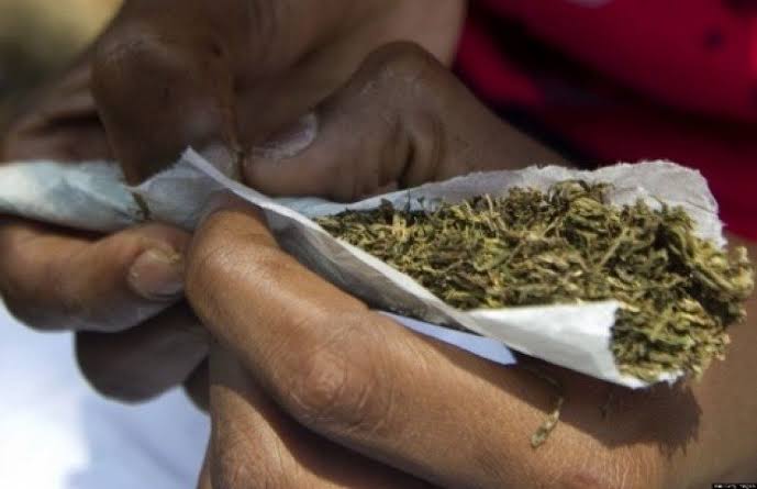 Reps Set To Legalise Use Of Indian Hemp