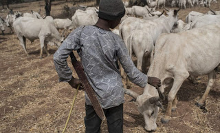 Just In: Court Remands Farmer For Allegedly Killing Herder