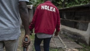 Saudi-bound fellow nabbed by NDLEA with cocaine conceived in footwear