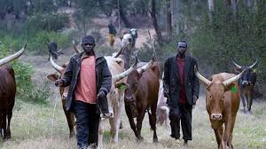 Ilesa Residents Alleged Influx of Fulani Herdsmen In The Town, Youths Set Bonfire To Show Readiness Against Any Attack