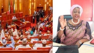 BREAKING: Senate Sidelines Onochie, Declines Her Confirmation As INEC Commissioner