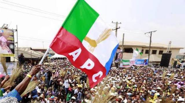 Massive Victory as APC defeats Other Political Parties, Clears 17 Ogun Councils