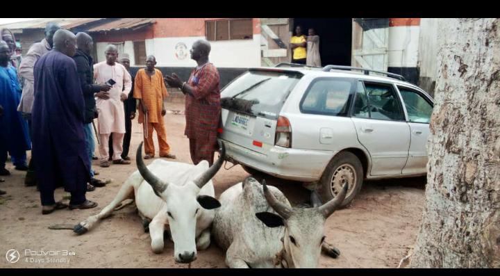 NSCDC Arrests 52-Year-Old Man For Allegedly Stealing Cows In Kwara