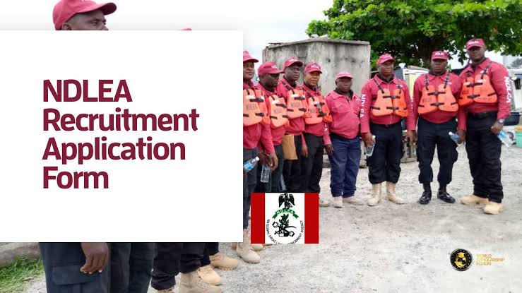 Recruitment: NDLEA Releases Names Of Successful Candidates