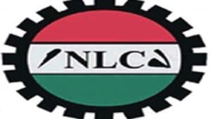 NLC Advocates For Transformation Of NNPC To Public Liability Company