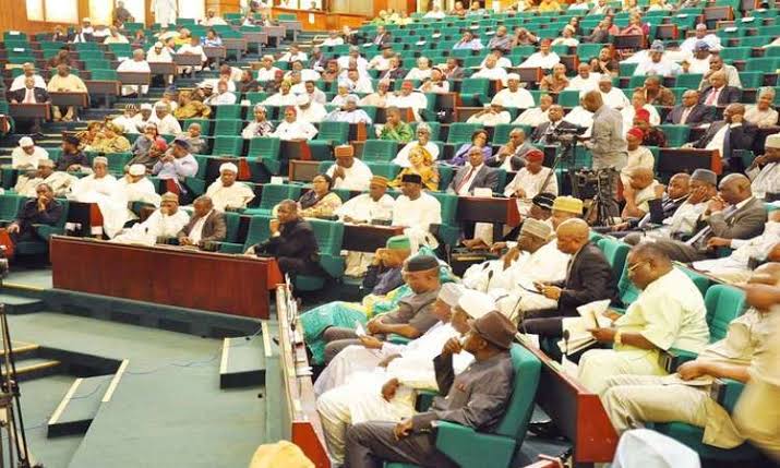 Nigerian President, Governors In Trouble As Reps Reveal Stand On Removal Of Immunity Clause