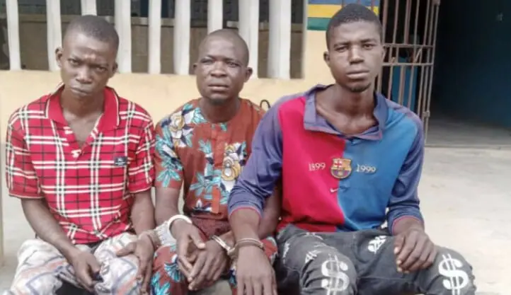 Three hoodlums land in trouble For Robbing ‘Tope Alabi’ In Ogun