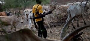 Suspected Fulani Militia Invade 12 Villages, Kill 42, Burn 338 Houses In Zangon Kataf