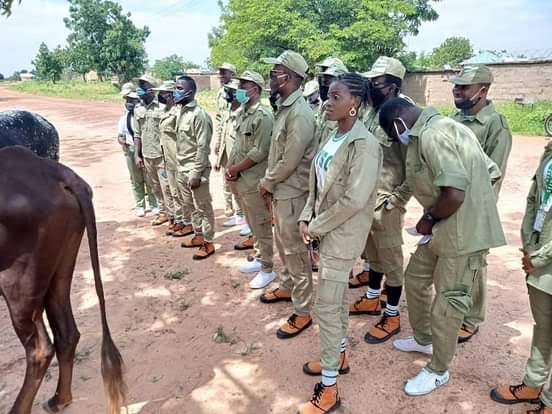 Corps members cash out as Buhari gifts them cows from his farm, rice, N1m