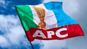 2023: APC Denies Zoning Presidency To South
