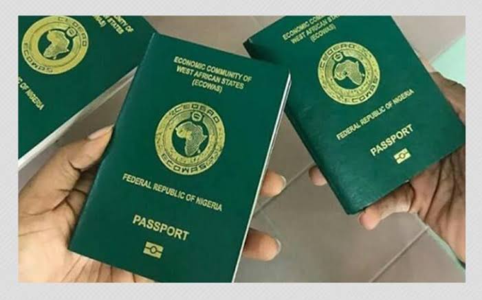 159 Nigerians Renounced Citizenship In 2022 – FG