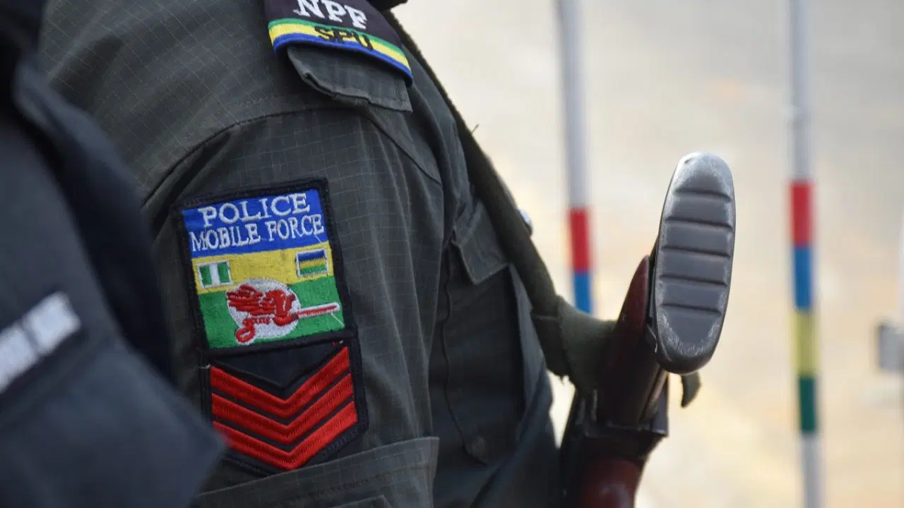 Breaking: Gunmen kill two Nigerian police officers, burn their bodies