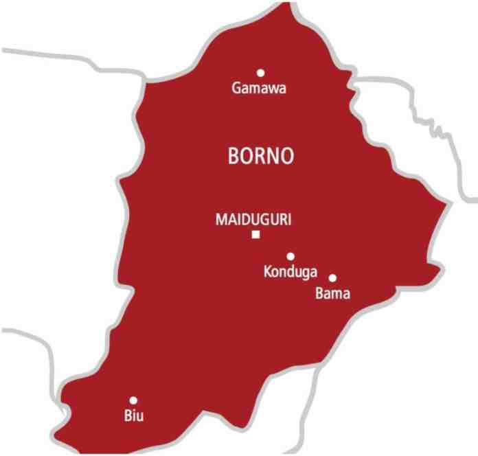 JUST IN: 5 children killed in Borno bomb explosion