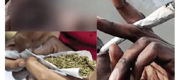 Indian hemp: Gwagwalada traders decry indiscriminate smoking in market