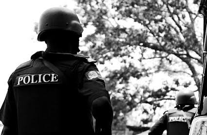 Police Arrest, IPOB, ESN Members Allegedly Planning To Attack Imo Residents