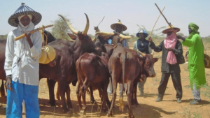 We Will Expose Criminals Among Us In Five Months – Fulani Leaders Vow