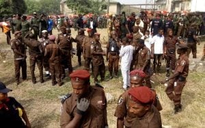 Amotekun Arrests Herders, Seizes Cows For Violating Anti-Open Grazing Law