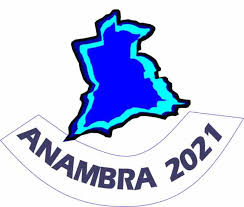 Anambra Gubernatorial Elections 2021: Meet Top Leading Candidates In The Race