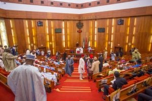 Extra: Senate confirms FG’s nominee who ‘started school before he was born’