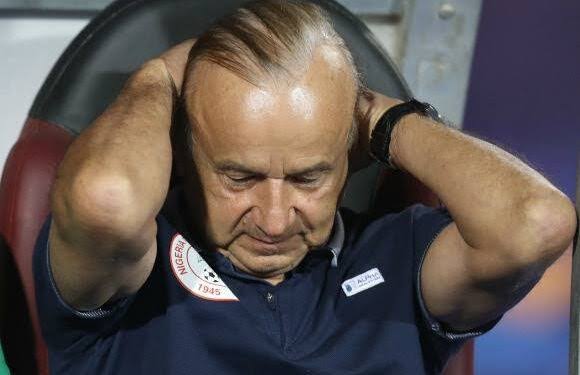 NFF Reacts to ‘Sacking’ Coach Gernot Rohr