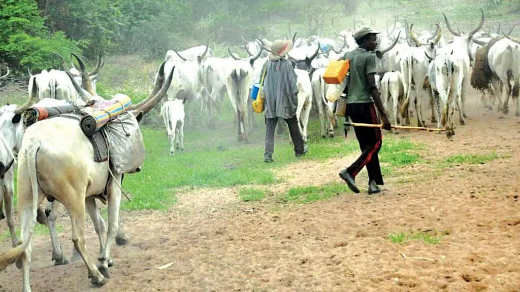 Herdsmen Invade Community in Ondo, Destroy Farmlands, Kidnap Residents
