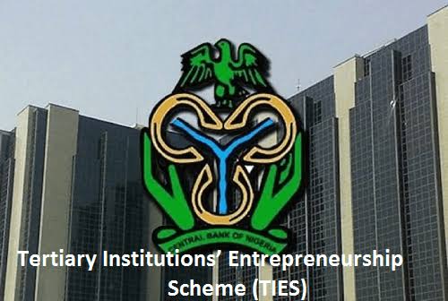 APPLY: CBN Tertiary Institutions Entrepreneurship Scheme For Young Nigerians