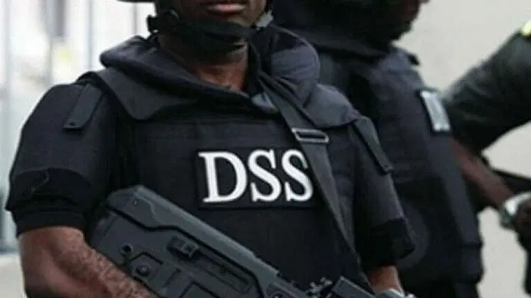 Plot to install interim government in Nigeria is real – DSS confirms