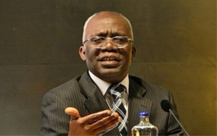 2023: See Good Lessons Learnt From Nigeria Election – Falana