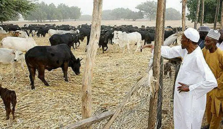 Aura: Buhari values his cows than 42 Sokoto passengers burnt to death by bandits