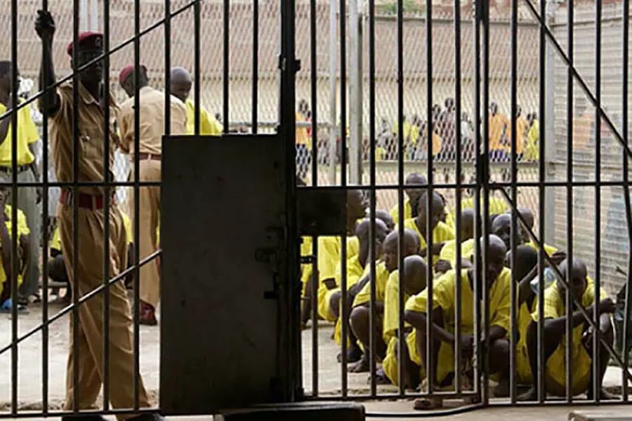NCS In For Review Of N750 Inmates Feeding Allowance As Dogs Bag N800