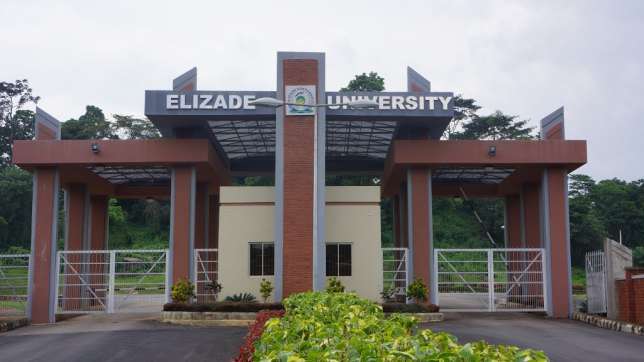 VC: Shun sexual engagements, Elizade can’t harbour pregnant students