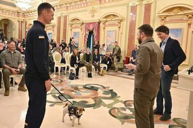 Russia-Ukraine war: Dog Receives Medal For Detecting Over 200 Landmines