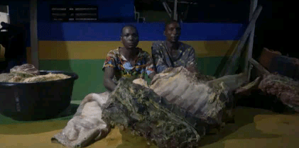 Two Cattle Rustlers Arrested In Ekiti