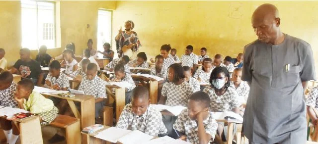 Breaking: NECO releases 2022 common entrance results