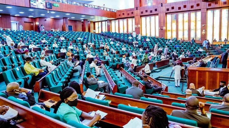 NASS: Ekiti young professionals call for zoning of Deputy Speakership to State