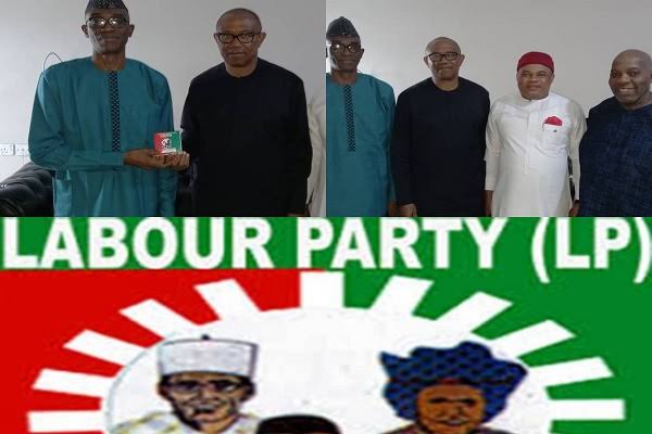 Crisis for Peter Obi as Labour Party gets another presidential candidate