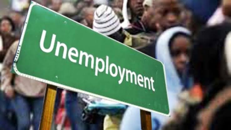 FG opens employment, job creation Portal for unemployed Nigerians