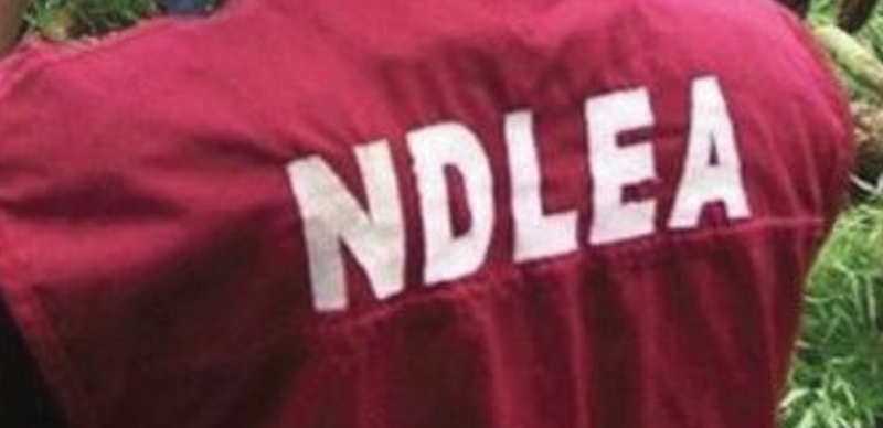 NDLEA reportedly arrests terrorists’ supplier, intercepts 7.6 tons of illicit drugs