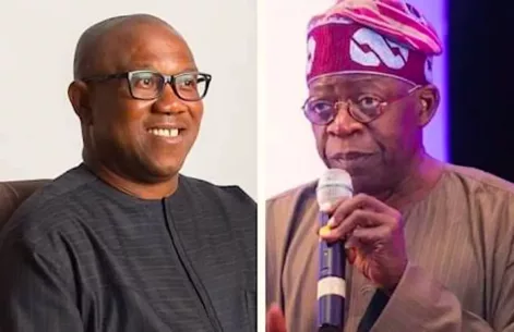 Report: PDP goes to court, wants Tinubu, Obi disqualified