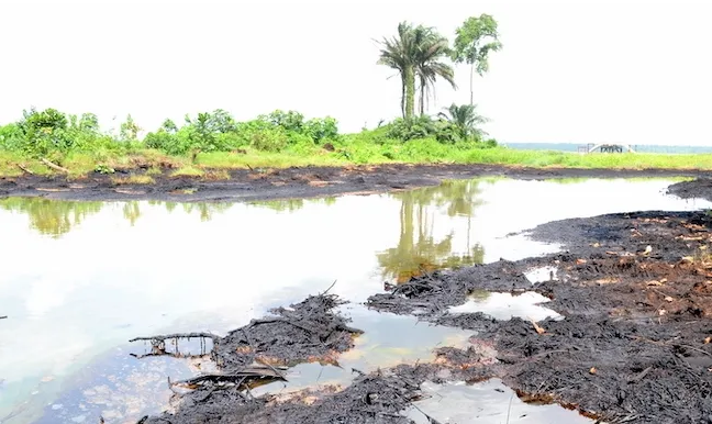 NOSDRA: Bayelsa recorded 1086 oil spills in seven years 