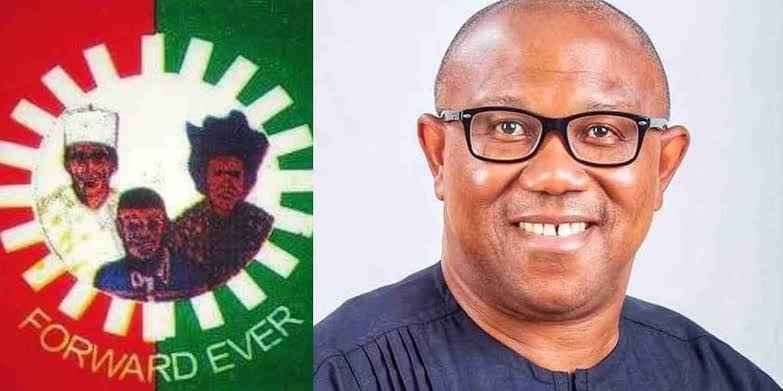 ‘You’ve failed to be true ambassadors of people, party’ – LP tells its NASS members