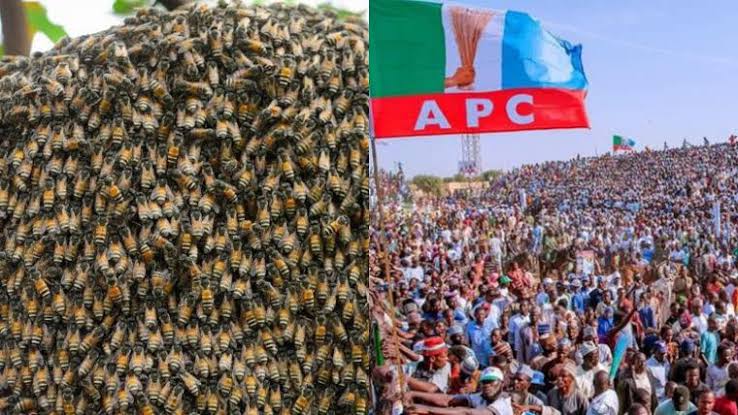 Two APC leaders kidnapped after attending Kaduna Governor’s inauguration