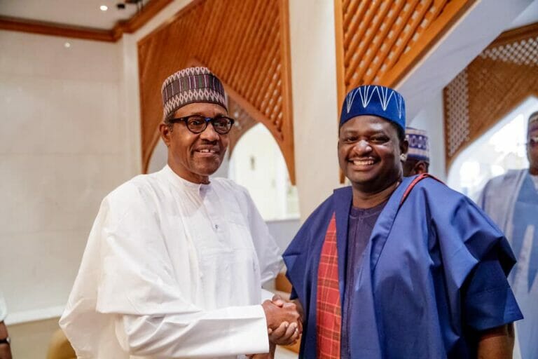 Adesina: Buhari’s critics will fall into a ditch, and great will be that fall