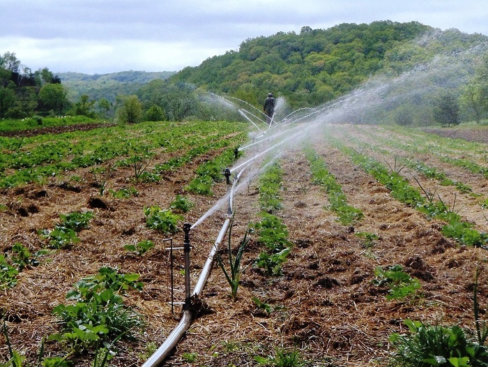 Report: FG hands over 228 hectares Gari Irrigation project to Jigawa, Kano farmers