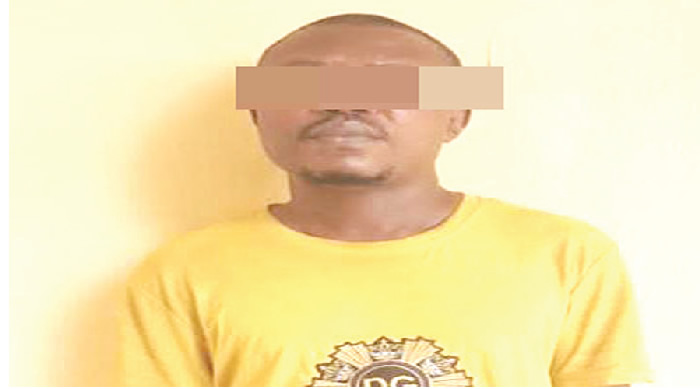 South: NDLEA nabs suspected drug baron, brother flees