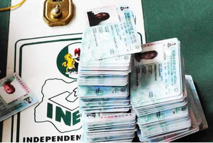 Hunter finds thousands of voter’s cards inside bush in Nnewi