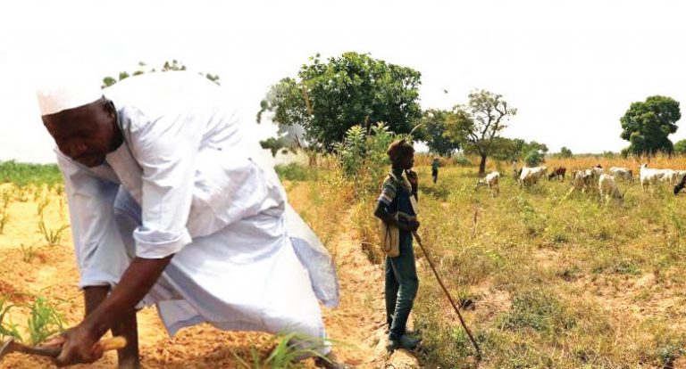 Envoy: China to assist Nigeria end farmer-herder clashes 