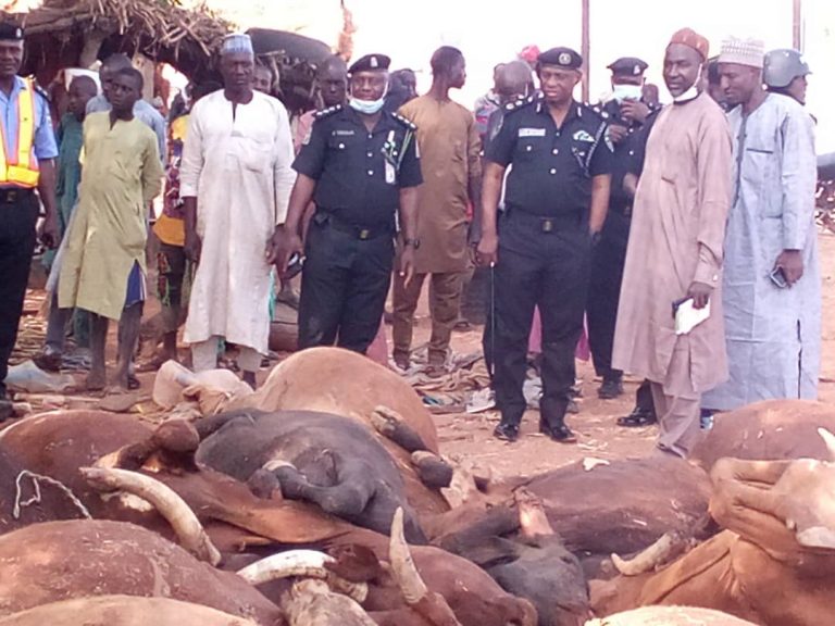 Nigeria: Tears As 14 Persons, 22 Cows Die In Auto Crash
