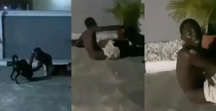 Thief met his Waterloo after jumping into a compound with two dogs(VIDEO)