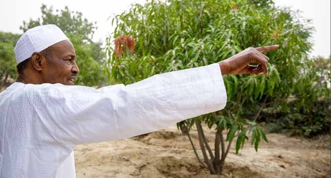 I Was Flogged A Lot Because I Avoided School Farm – Buhari Speaks on How His Growing Up Days Was Like